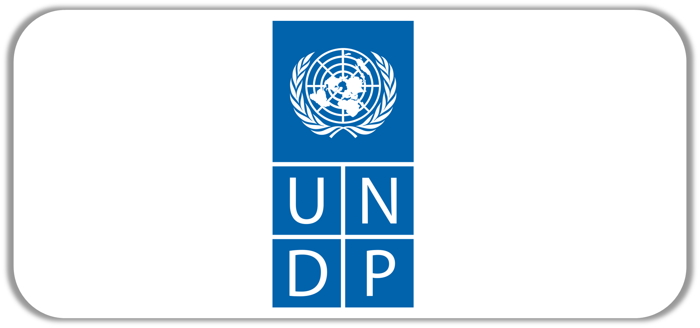 UNDP